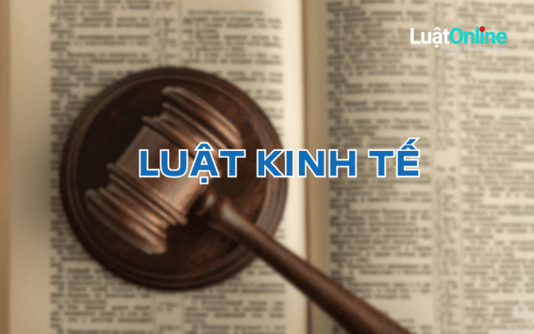 Luật Kinh tế là gì? Tìm hiểu từ A-Z