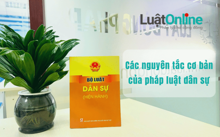 Nguyên tắc cơ bản của pháp luật dân sự