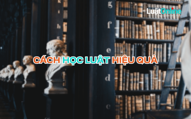 Phương pháp học luật hiệu quả nhất