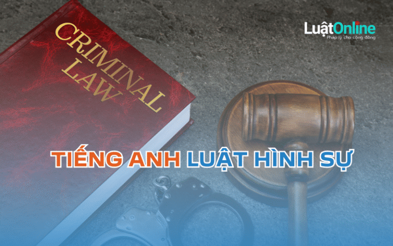 100 từ vựng tiếng Anh chuyên ngành Luật Hình sự