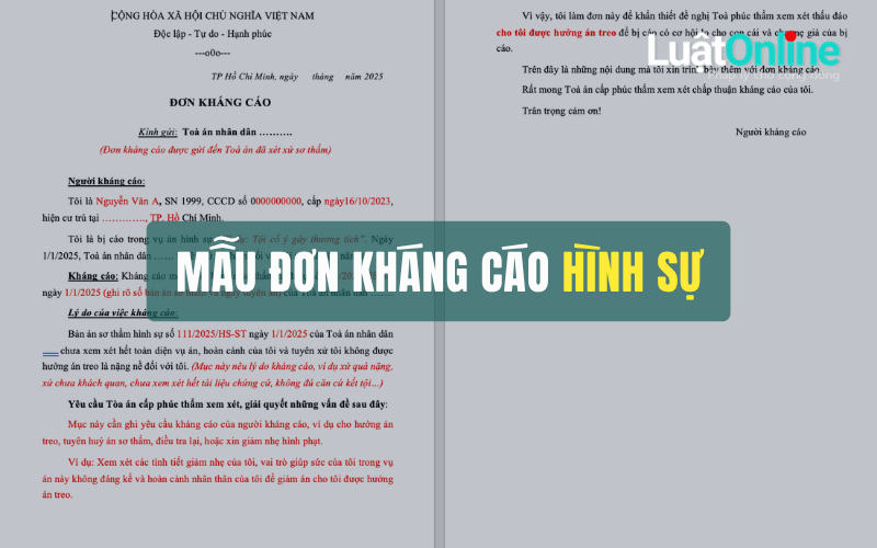 Đơn kháng cáo hình sự