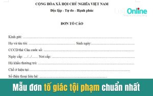 Mẫu đơn tố giác tội phạm chuẩn nhất