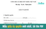 Mẫu giấy ủy quyền mới nhất