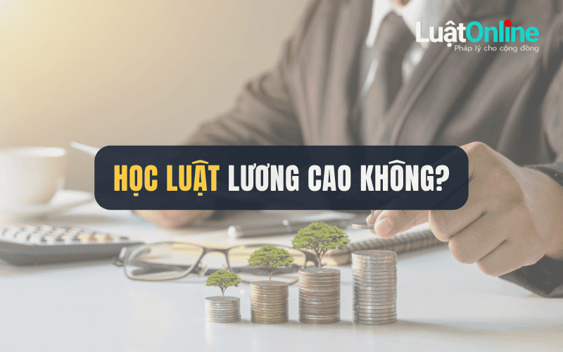 Học luật ra trường lương cao không?
