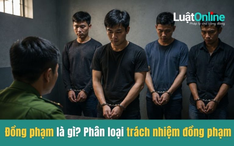 Đồng phạm là gì? Phân loại trách nhiệm đồng phạm theo quy định mới nhất