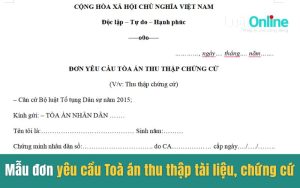 Mẫu đơn yêu cầu Toà án thu thập tài liệu, chứng cứ 