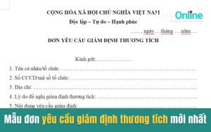 Mẫu đơn yêu cầu giám định thương tích mới nhất 