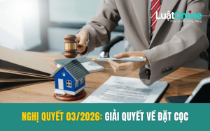 Nghị quyết 03/2026/NQ-HĐTP và tranh chấp đặt cọc đất đai